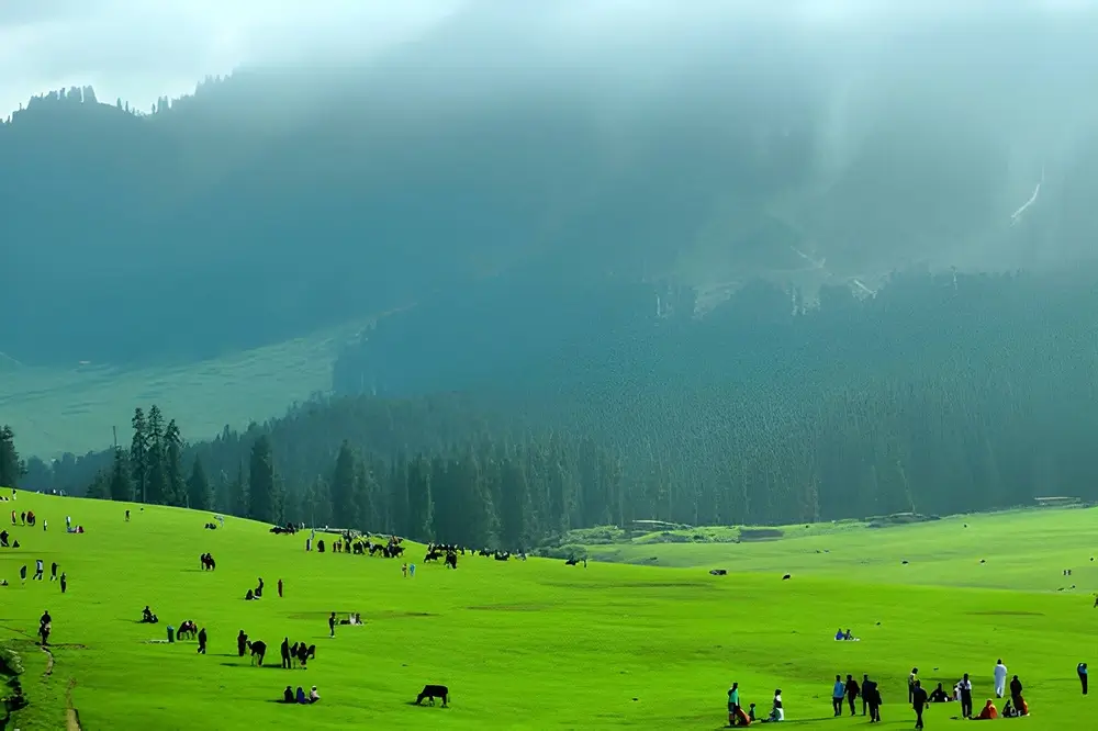 Enjoy a Picnic in Betaab Valley - Tourism in Betaab Valley
