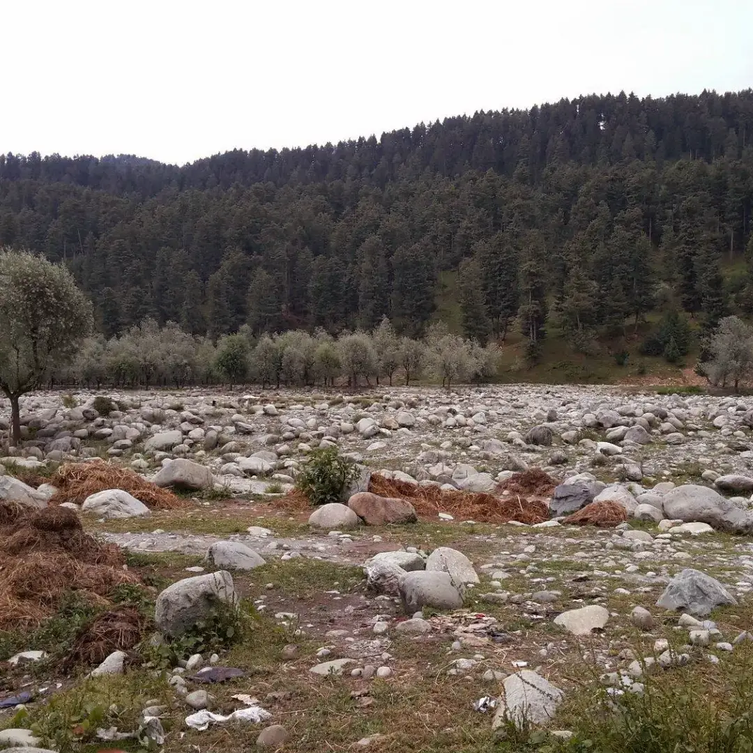 Ferozepur Nallah Gulmarg