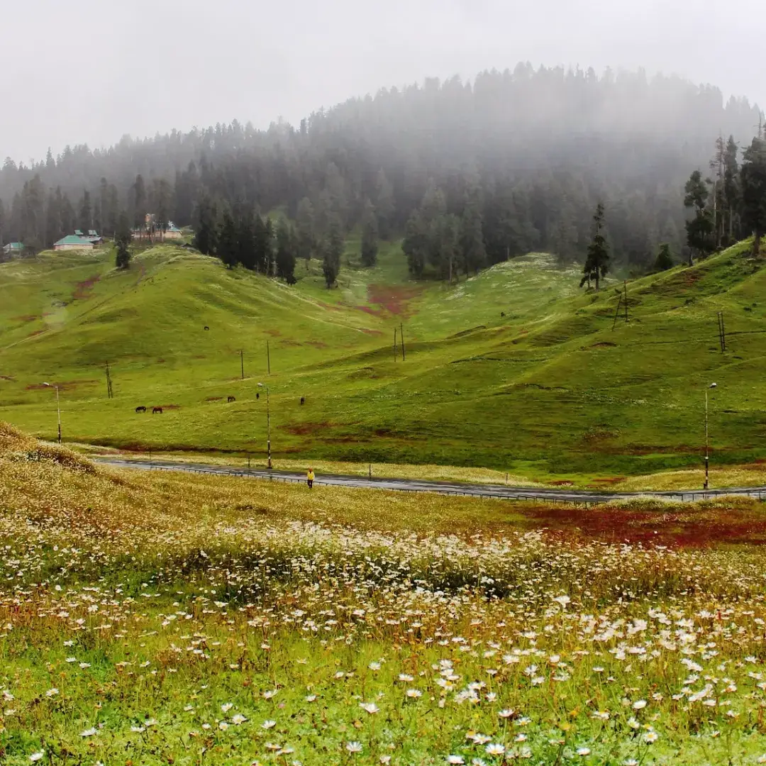 Gulmarg Tourism