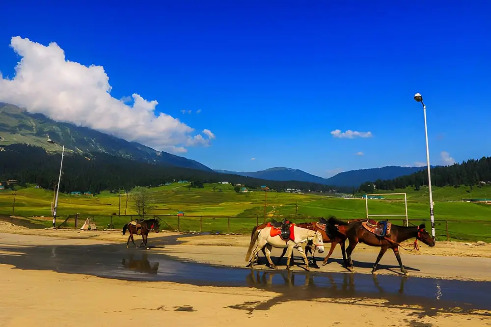 Horse Riding in Betaab Valley - Tourism in Betaab Valley