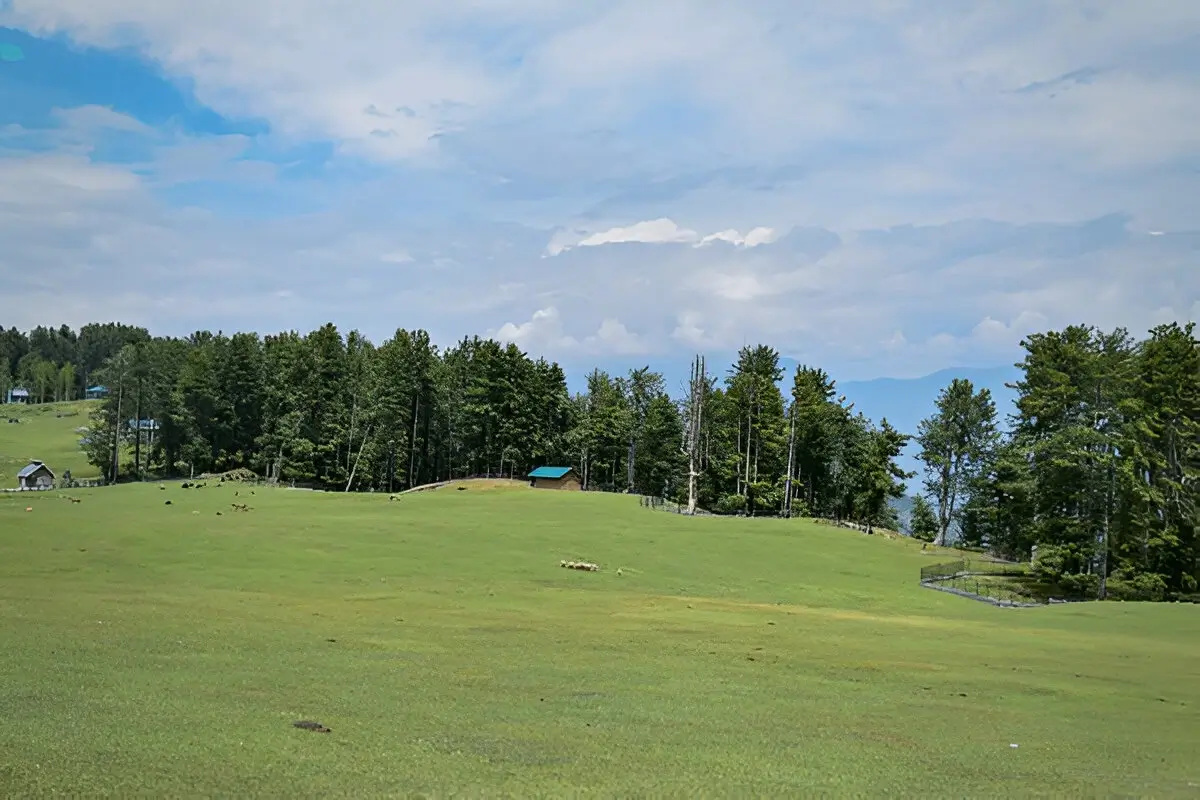 Patnitop Park - Popular Tourist Attractions