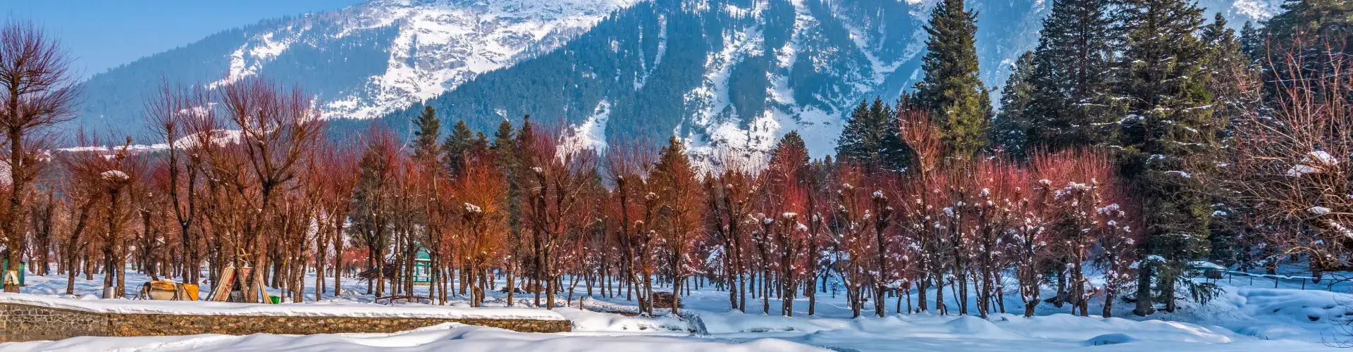 Jammu and Kashmir Tour from Bangalore