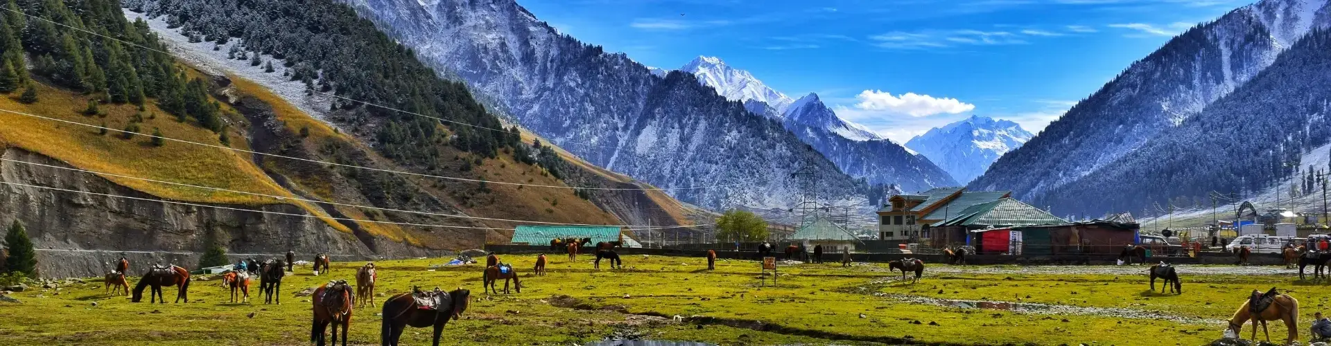 Jammu and Kashmir Packages from Hyderabad