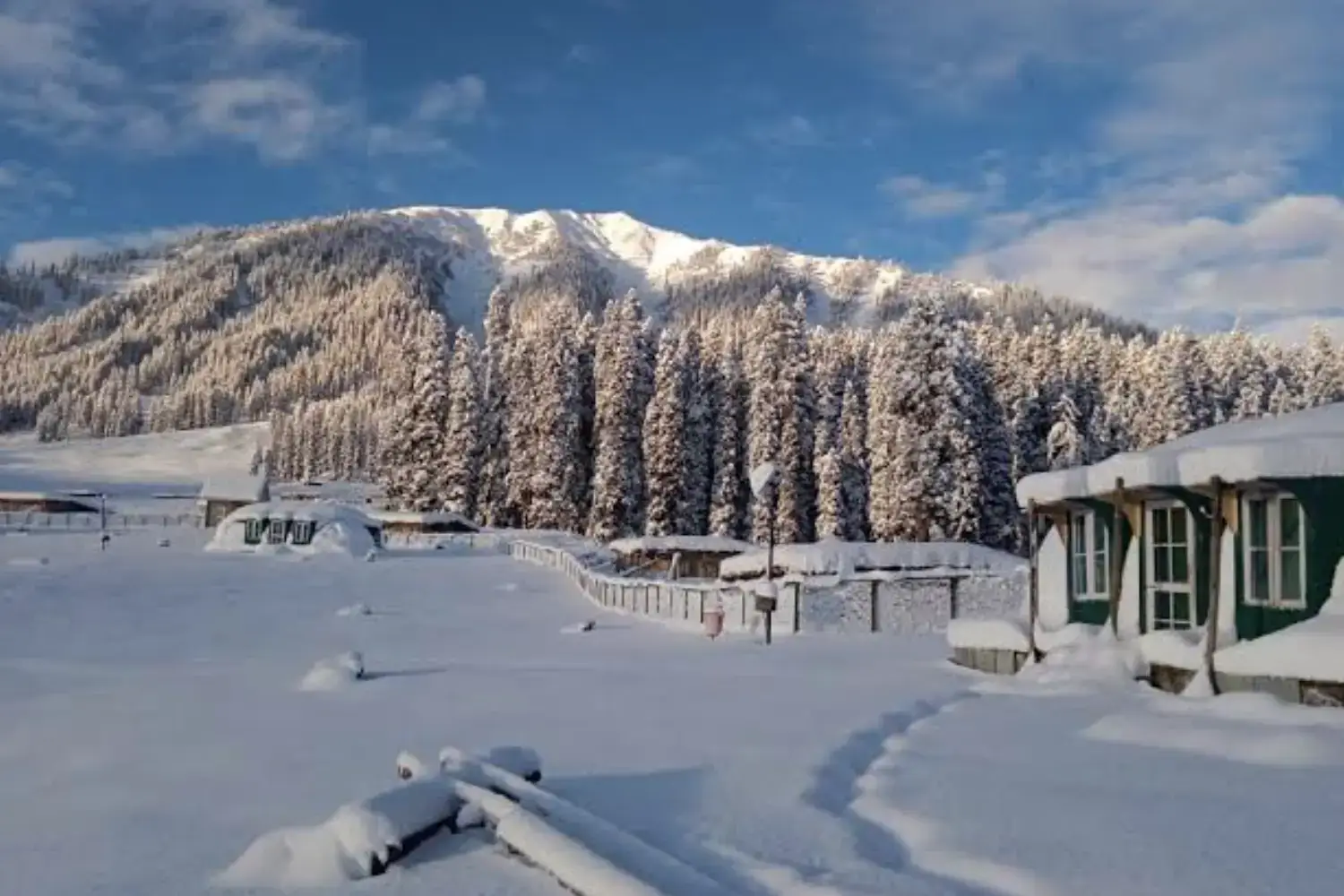 Fresh Snowfall in Kashmir Valley