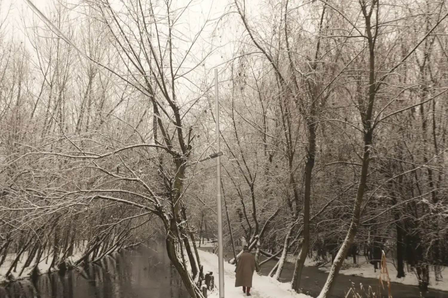 Latest Snowfall in Kashmir