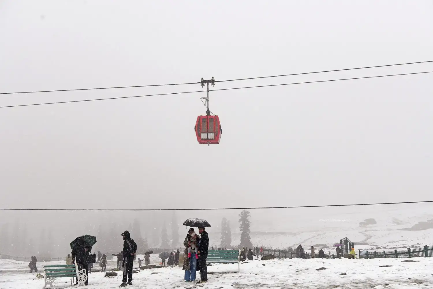 Fresh Snowfall in Gulmarg Kashmir Valley