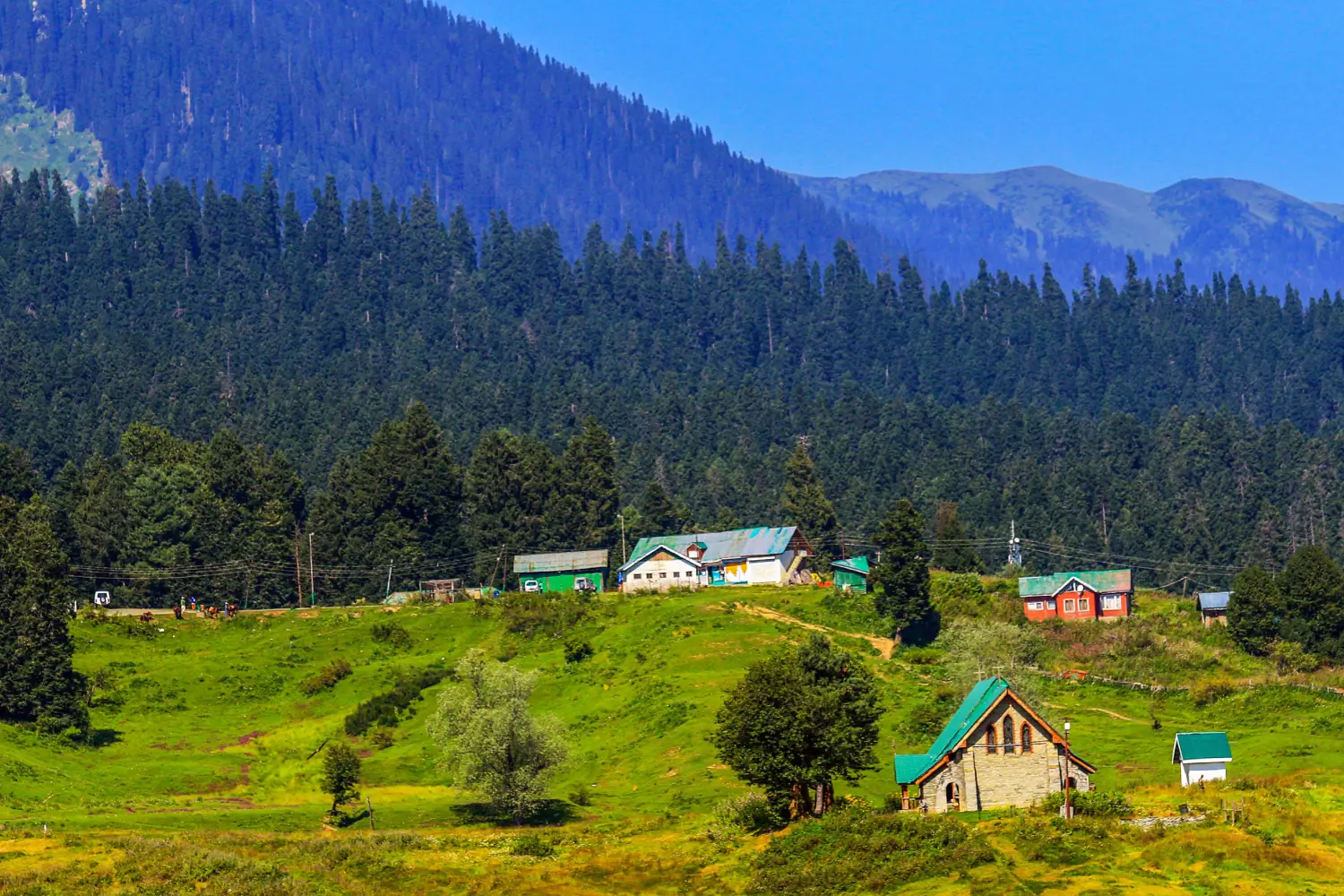 13 Crore Tourists Visit Jammu and Kashmir in 10 Years