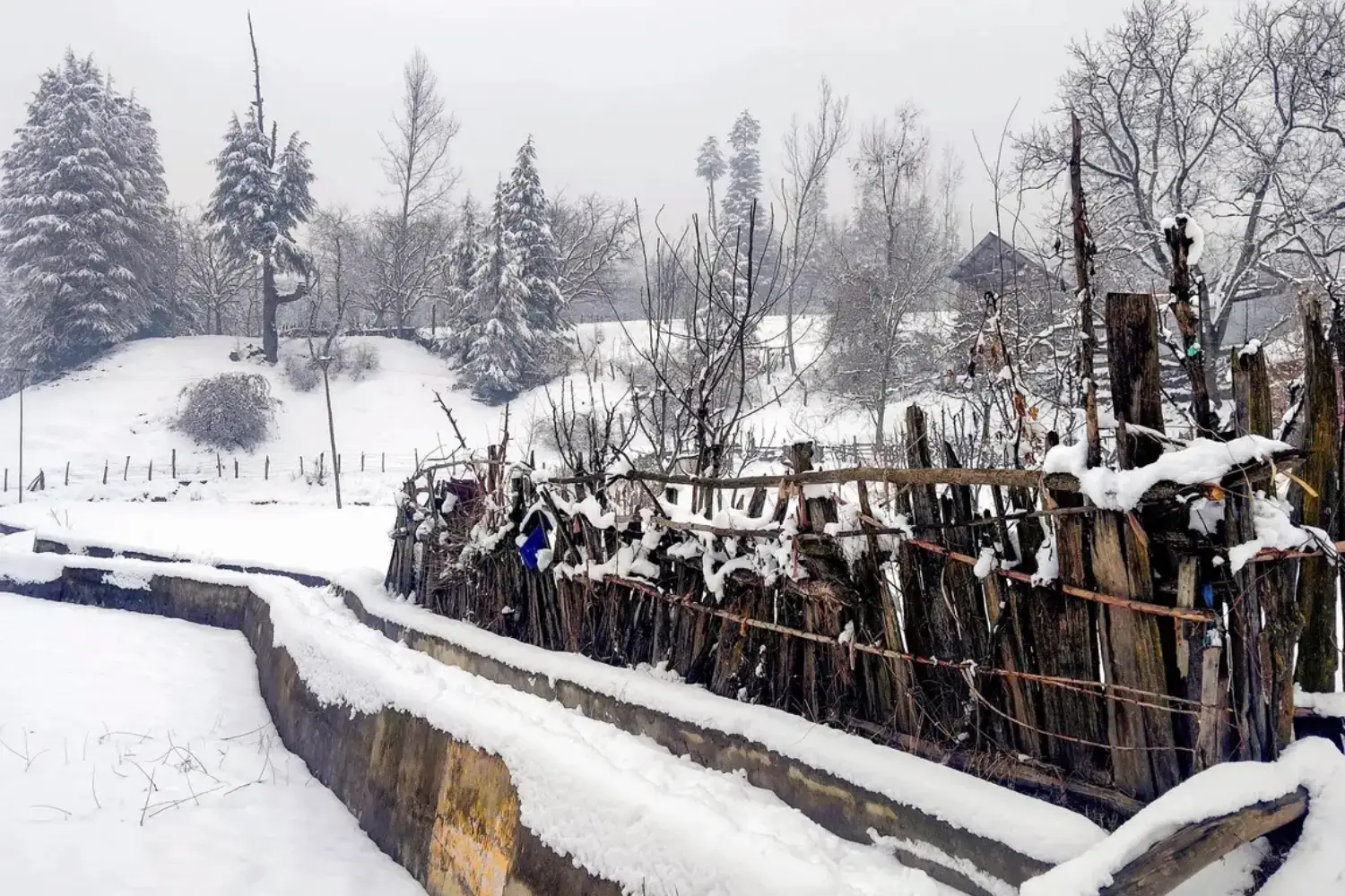 Fresh Snowfall in Kashmir