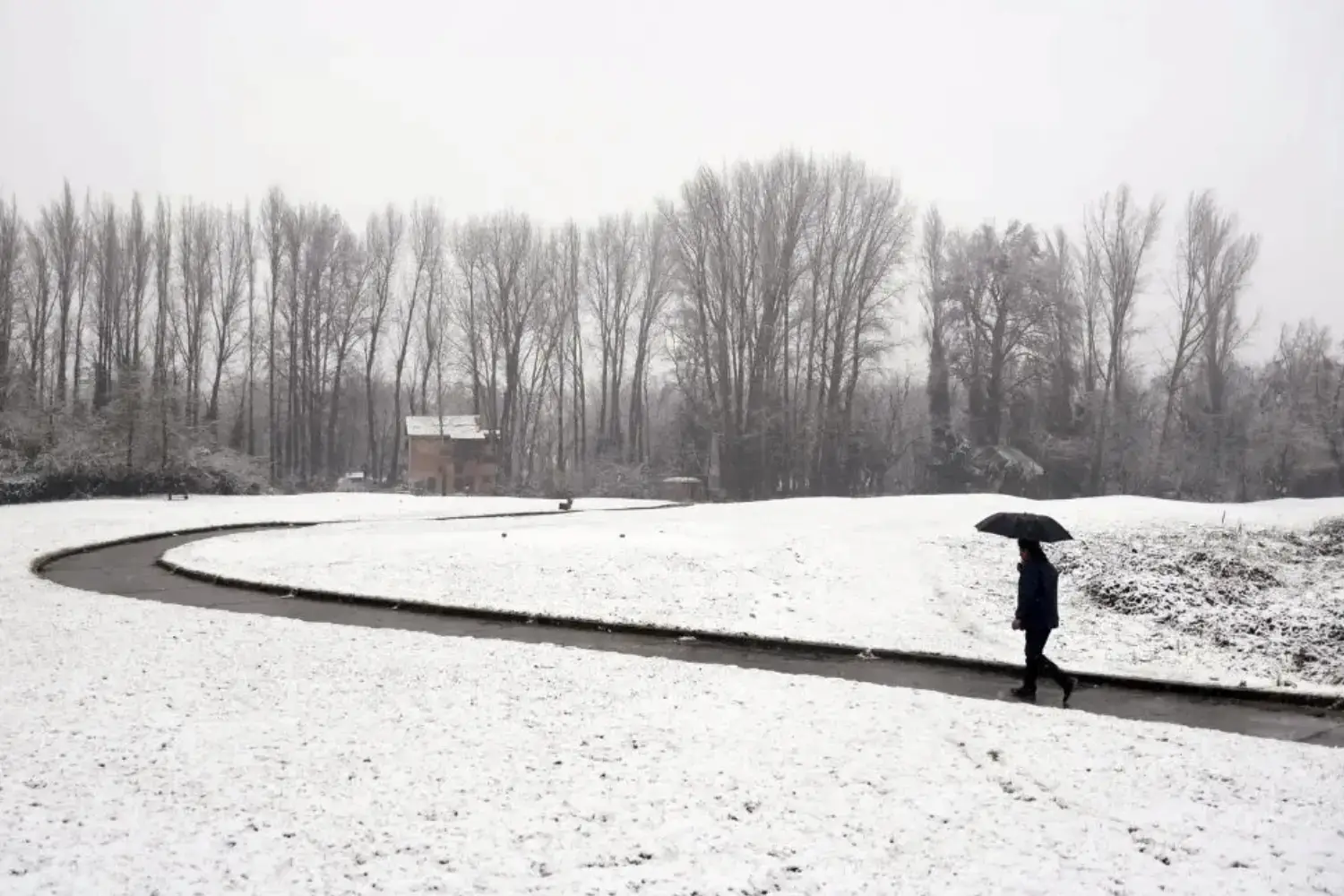 Fresh Snowfall in Kashmir