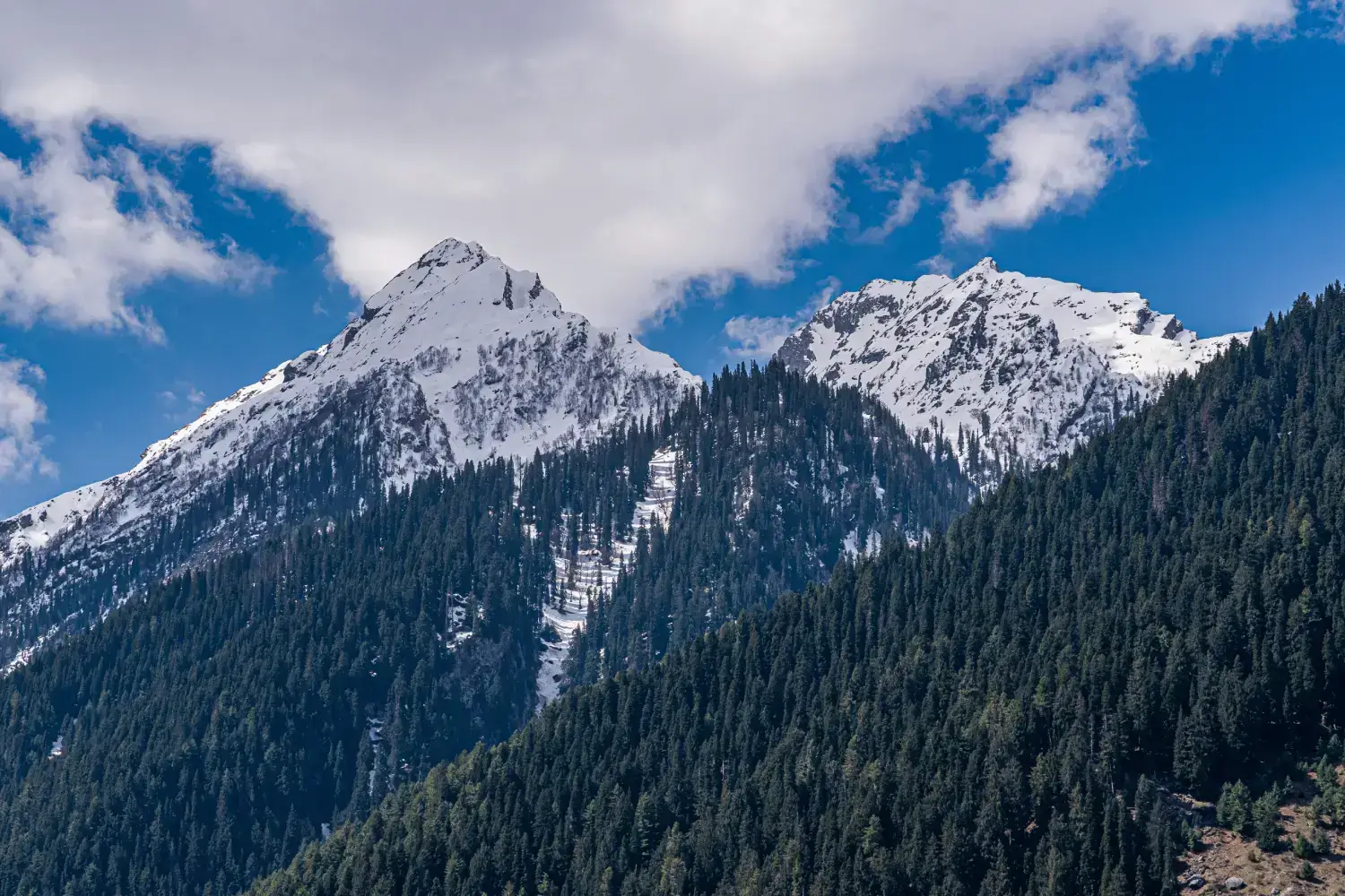 Trekking and Hiking in Kashmir