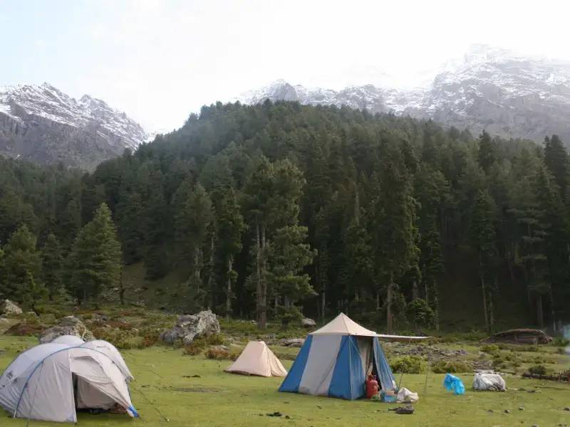 Camping in Pahalgam Kashmir