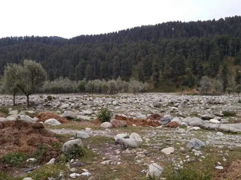 Ferozepur Nallah- Gulmarg Tourism