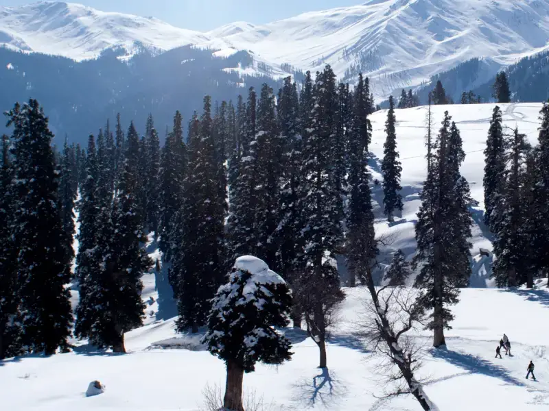 Gulmarg Biosphere Reserve