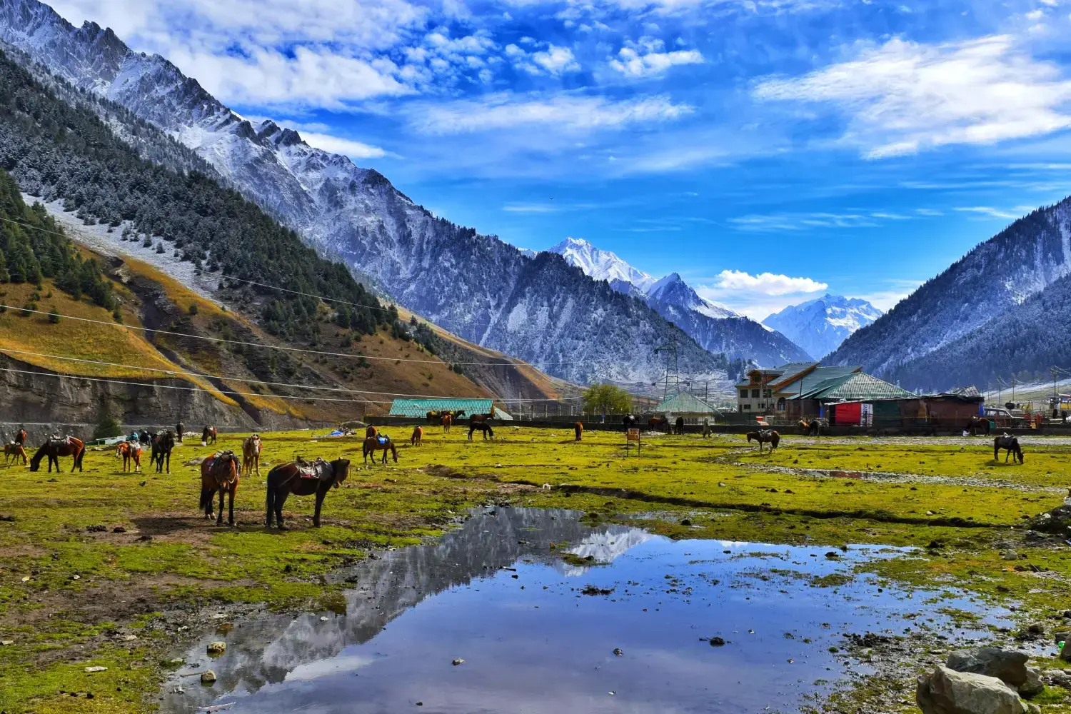 Horse Riding in Aru Valley- Tourism in Aru Valley