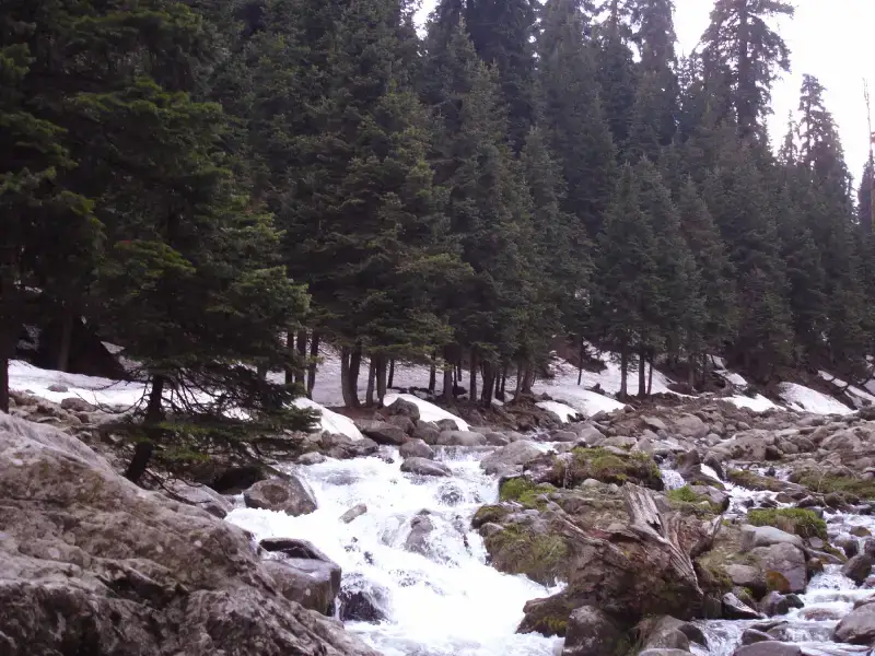 Ningle Nallah- Gulmarg Tourism