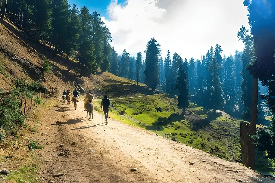 Family Fun in the Scenic Valleys of Kashmir