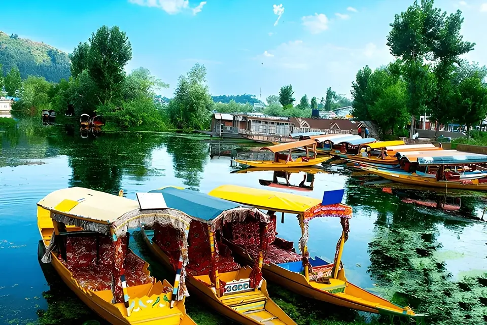 Nigeen and Dal Lake Houseboat Tour Kashmir