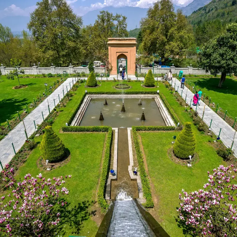 Kashmir