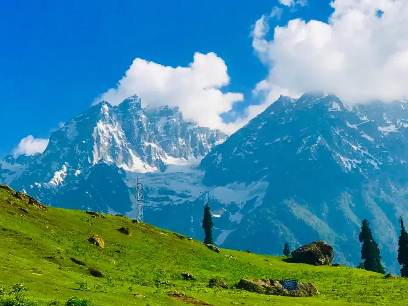 Kashmir