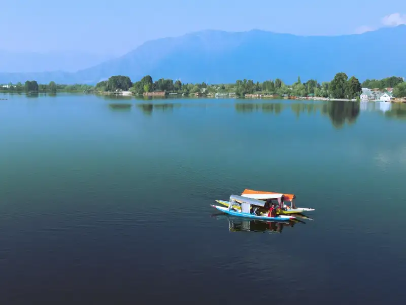 Kashmir
