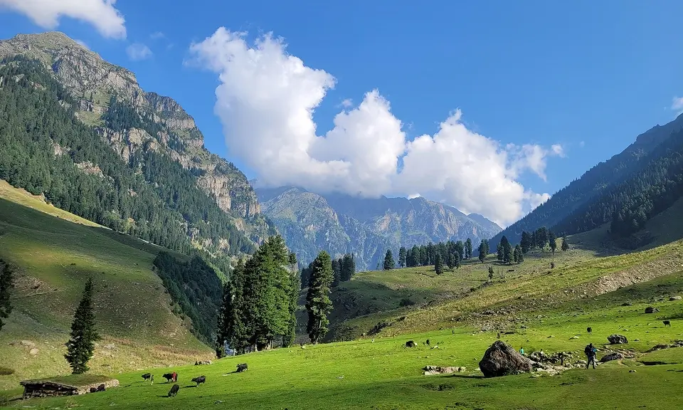 Kashmir